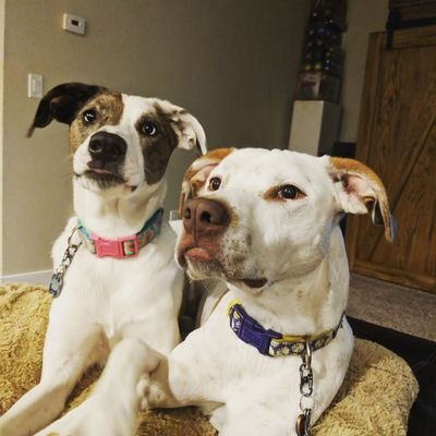 Profile Picture of Eric Kuphal (@EricKuphal82) on Twitter