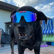 Profile Picture of Jeri Randall (@jerirandall4215) on Youtube