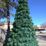 Profile Picture of Lisa Hebert (@lisa.hebert.7311) on Instagram