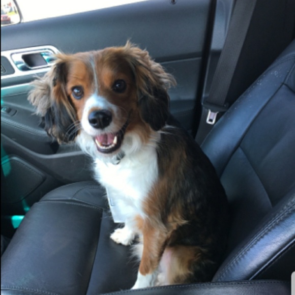 Toby Williams - Poshmark Profile Picture of Toby Williams (@tobywilliams282) on Poshmark