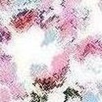 Profile Picture of Klaudia Keller (@d.s6i.5086448) on Instagram