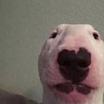 Profile Picture of skylar (@skylar_bishop122) on Instagram