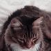 Profile Picture of Ernest Perry (@ernest.perry.9) on Facebook