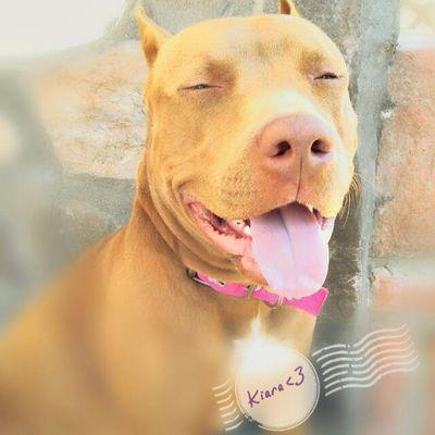 Profile Picture of Cristian Ovando (@chiiniito_763zz) on Twitter