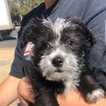 Profile Picture of eliza.mullins (@eliza.mullins) on Instagram