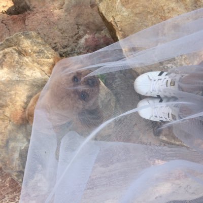 Profile Picture of 歪酱 (@XueJiang6) on Twitter