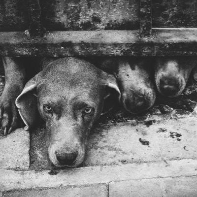 Profile Picture of XiongChengHao (@KopVincentXiong) on Twitter