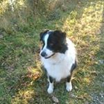 Profile Picture of Claudine Maurice Clément (@claudinemauriceclement) on Instagram