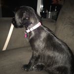 Profile Picture of $erena Rihanna Harris-Carter (@serena_thadiva) on Instagram