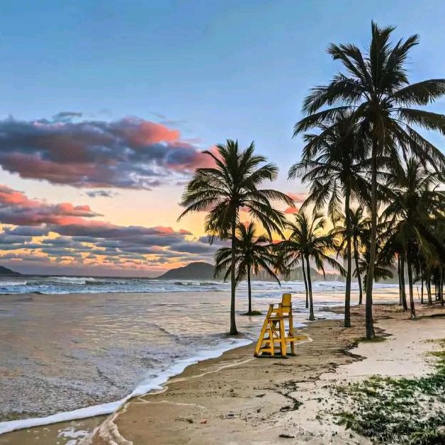 Profile Picture of tammyshupert (@tammyshupert) on Tiktok