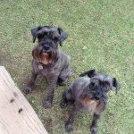 Jenna Joubert🌺 - Instagram Profile Picture of Jenna Joubert🌺 (@jenjoubert10) on Instagram