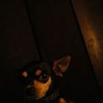 Profile Picture of Victor Raso (@victor.raso) on Instagram