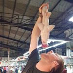 Profile Picture of Joel Rogawski (@joelcangrejo) on Instagram