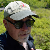 Profile Picture of P. David Polly (@pdpolly) on Youtube