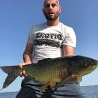 Profile Picture of   Vic Cohen (@mistervictor)... (@mistervictor) on Tiktok