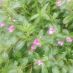 Profile Picture of Brian Libingi (@Brian-Libingi) on Facebook