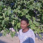 Profile Picture of MsGee Bambile Makhura Gwafila (@ogomoditse.gwafila) on Facebook