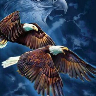 Profile Picture of Chris Larue (@Chris-Larue) on Facebook