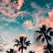 Profile Picture of Sophia Patelli (@sophiafpatelli) on Pinterest