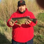 Profile Picture of Alexander Weckmann (@aweckmann) on Instagram