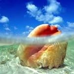 Profile Picture of Michele Dufour (@micheledufour472) on Instagram