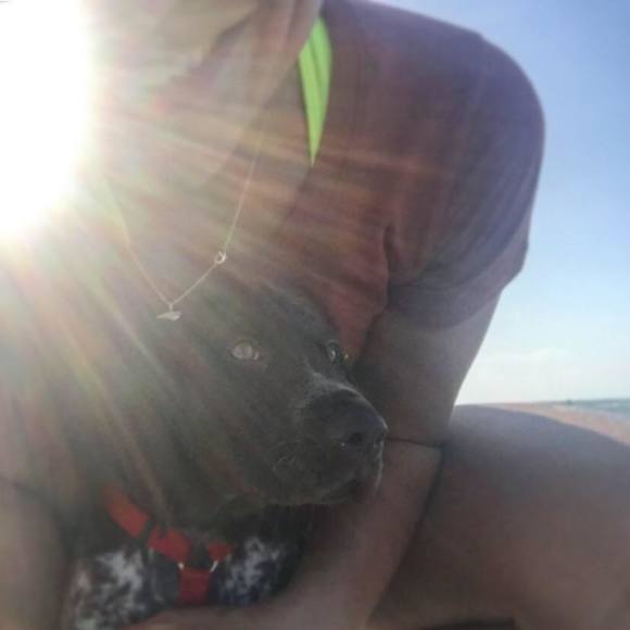 Profile Picture of Tracy Totten (@tltotten) on Poshmark