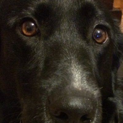 Profile Picture of Thomas McGrory (@ThomasMcGrory8) on Twitter