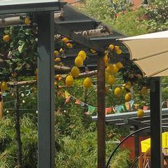 Martin Raab - Tiktok Profile Picture of Martin Raab (@martin.raab) on Tiktok