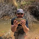 Profile Picture of Boyd Murray (@boyd_murr) on Instagram