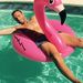 Profile Picture of David Ravet (@ravetdavid) on Pinterest