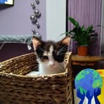 Profile Picture of Tomasz Pluta (@Tomasz-Pluta) on Facebook