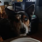 Profile Picture of Richard Sartin (@Richard-Sartin) on Facebook