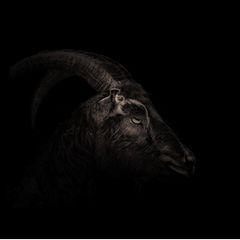 Profile Picture of totalwellnessstudio (@michaelccripps) on Tiktok