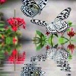 Profile Picture of Roberta Tucker (@tuckswife1989) on Instagram