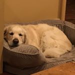 TJ Coffey - Instagram Profile Picture of TJ Coffey (@tj_coffey99) on Instagram