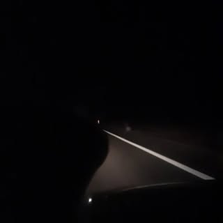 Profile Picture of Flores Danilo (@flores_danilo) on Instagram