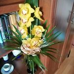 Anna Kolesárová - Instagram Profile Picture of Anna Kolesárová (@anna_kolesarova) on Instagram