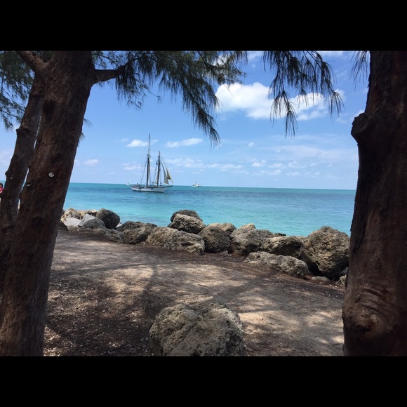 Profile Picture of Tara Waitkus (@customtaylor) on Poshmark