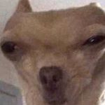 Profile Picture of Curtis Whitaker (@curtis0690) on Instagram