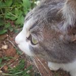 Flora Alicia - Instagram Profile Picture of Flora Alicia (@flora.alicia.5) on Instagram