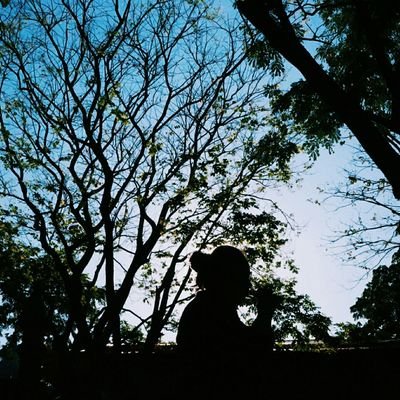 Profile Picture of Alice (@AliceeeR_) on Twitter