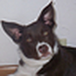 Profile Picture of Amber Downs (@toggle's mommy) on Flickr