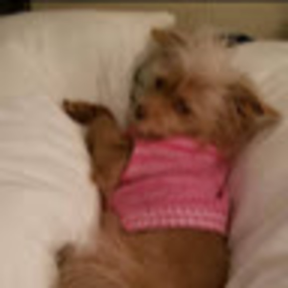 Profile Picture of Kelly Maloff (@kmaloff102) on Poshmark