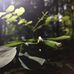 Profile Picture of Pawel Mikolajewski (@pawel.mikolajewski.712) on Facebook