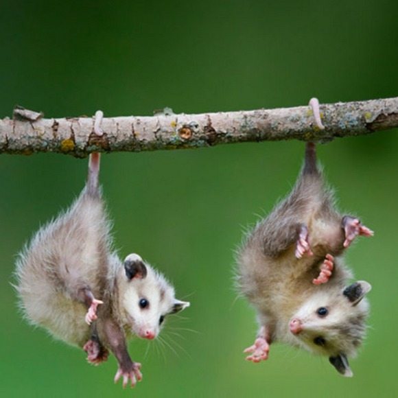 Profile Picture of Amelia Newton (@amelianewton566) on Poshmark