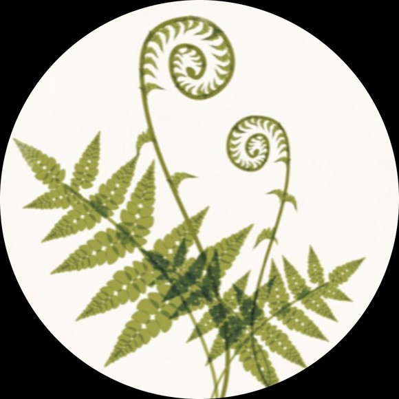 Alison Wonderland - Poshmark Profile Picture of Alison Wonderland (@awonderland0123) on Poshmark