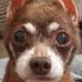 Profile Picture of Scott Keplinger (@scott.keplinger.1) on Facebook