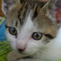 Profile Picture of Mariana Allen (@mariana-allen) on Quora