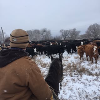 Lucas Galloway - Instagram Profile Picture of Lucas Galloway (@gallows_11) on Instagram