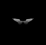 Profile Picture of Erling Lukez (@Erling-Lukez) on Facebook